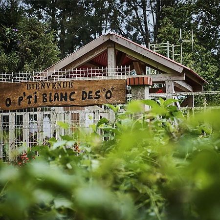 Le P'Ti Blanc Des "O" Bed and Breakfast Salazie Εξωτερικό φωτογραφία